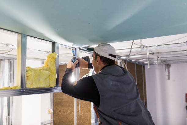 Best Insulation Contractors for Homes  in Oak Ridge North, TX